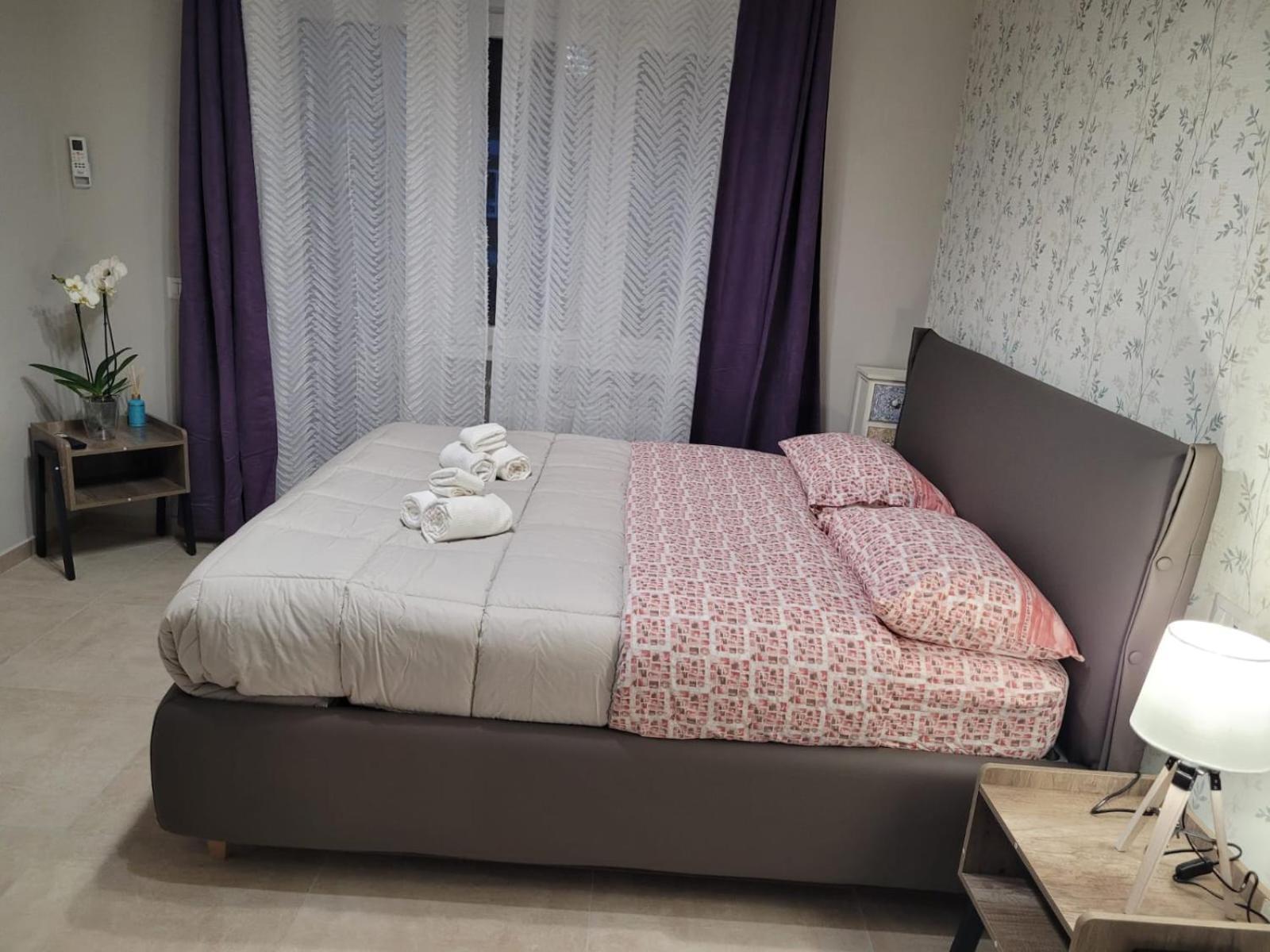 Bonelli Dreams In